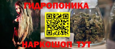 крисы Тулун