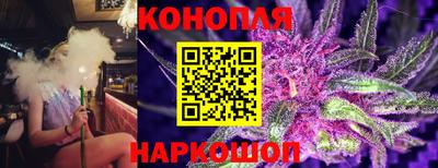 крисы Тула