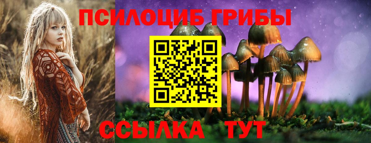 Нерюнгри  Галлюциногенные грибы ЛСД  Вход с VPN  Галлюциногенные грибы GOLDEN TEACHER 