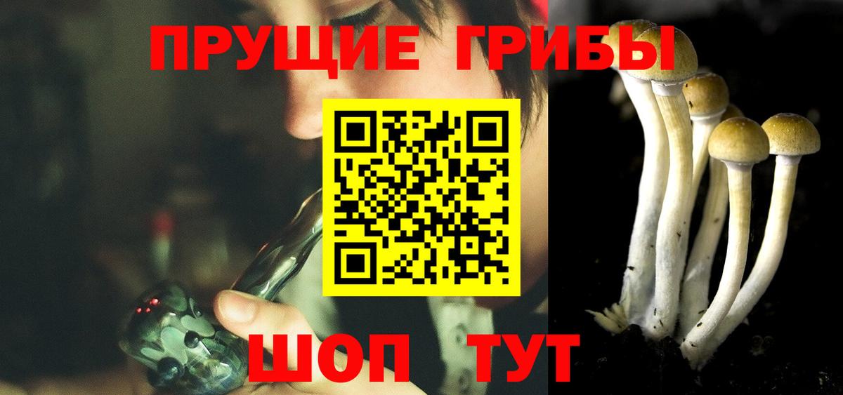 Галлюциногенные грибы Cubensis Нерюнгри